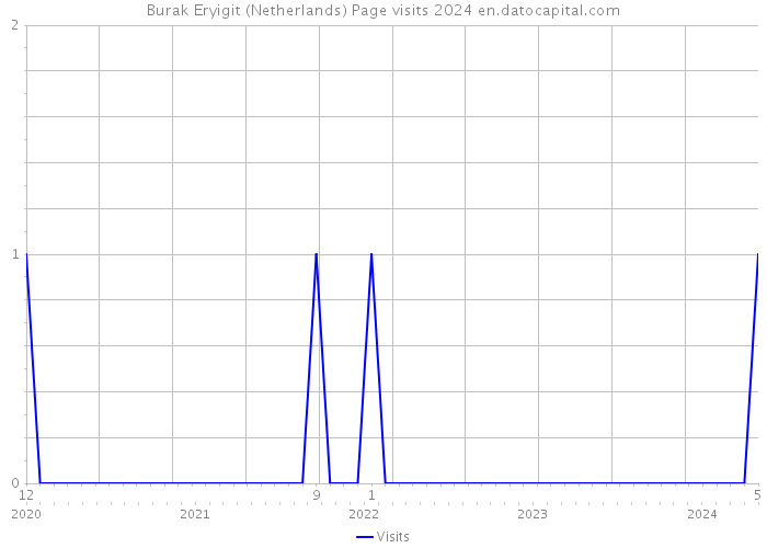 Burak Eryigit (Netherlands) Page visits 2024 