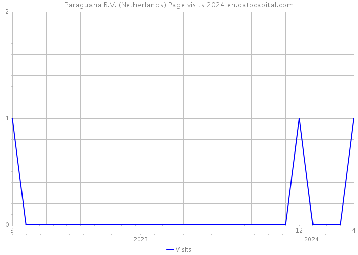 Paraguana B.V. (Netherlands) Page visits 2024 