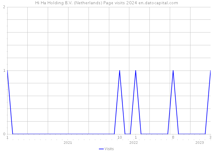 Hi Ha Holding B.V. (Netherlands) Page visits 2024 