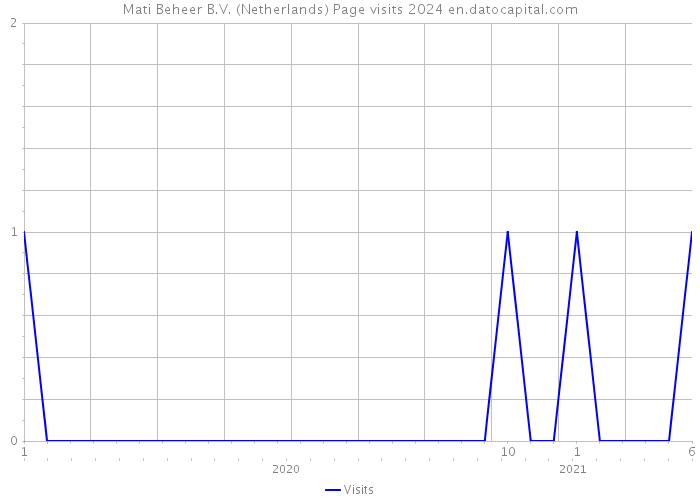 Mati Beheer B.V. (Netherlands) Page visits 2024 