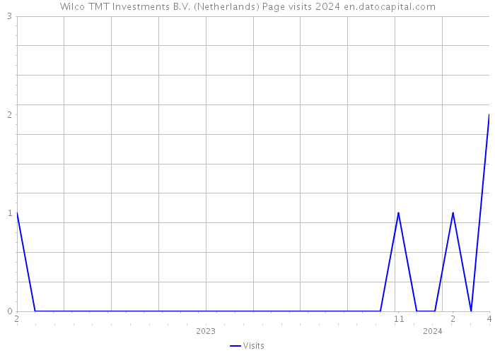 Wilco TMT Investments B.V. (Netherlands) Page visits 2024 