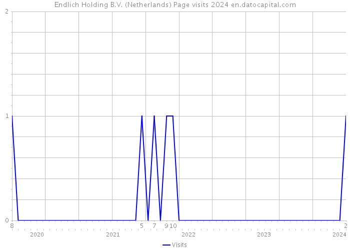 Endlich Holding B.V. (Netherlands) Page visits 2024 