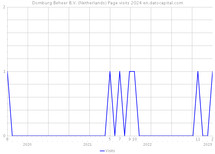 Domburg Beheer B.V. (Netherlands) Page visits 2024 