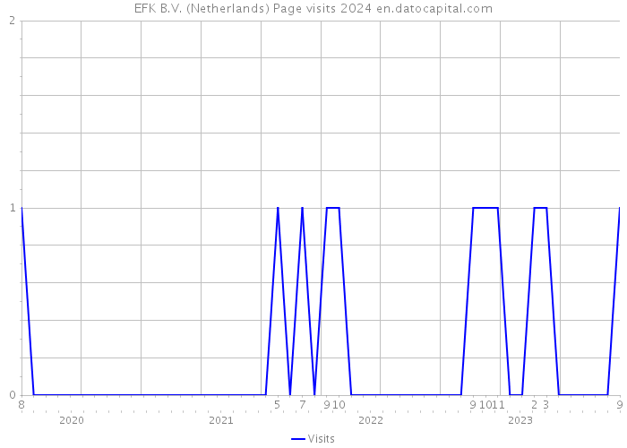EFK B.V. (Netherlands) Page visits 2024 