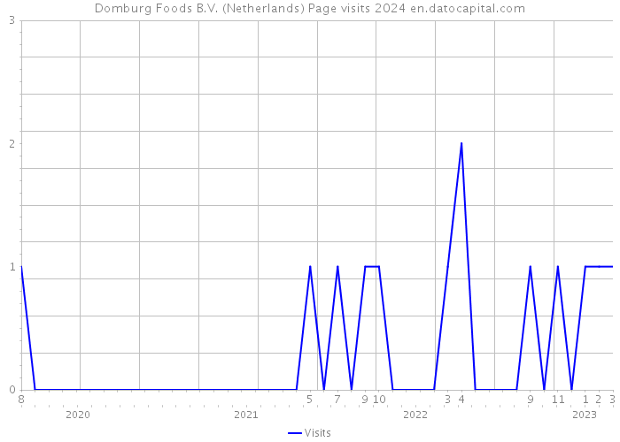 Domburg Foods B.V. (Netherlands) Page visits 2024 
