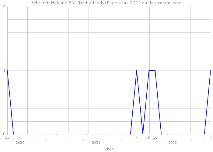 Schrandt Holding B.V. (Netherlands) Page visits 2024 