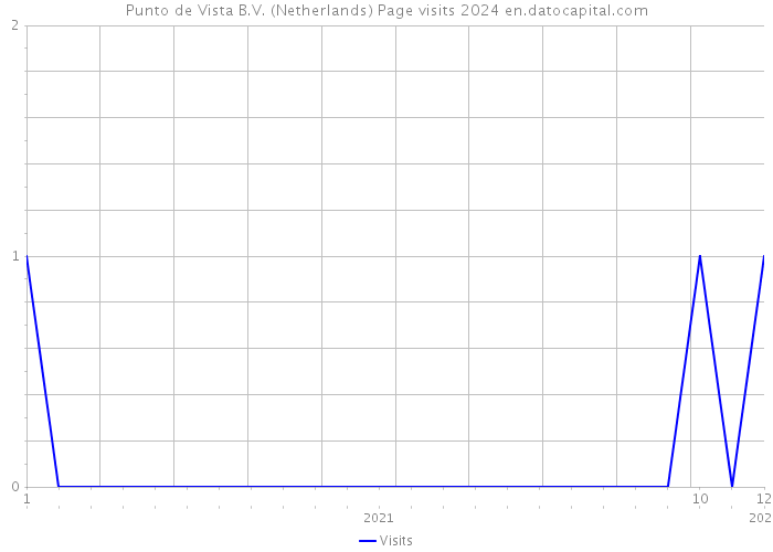 Punto de Vista B.V. (Netherlands) Page visits 2024 