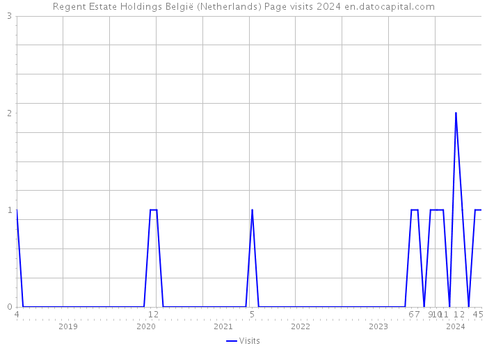 Regent Estate Holdings België (Netherlands) Page visits 2024 