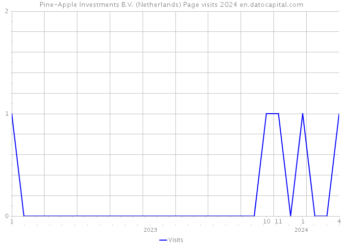 Pine-Apple Investments B.V. (Netherlands) Page visits 2024 