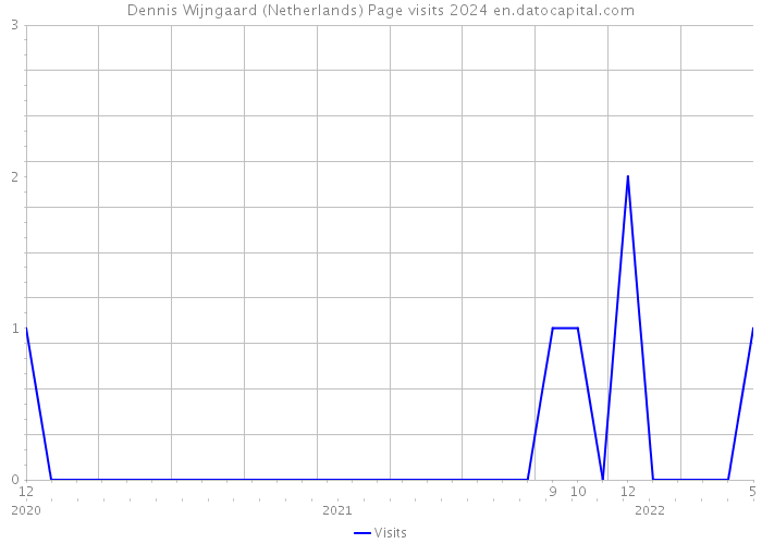 Dennis Wijngaard (Netherlands) Page visits 2024 