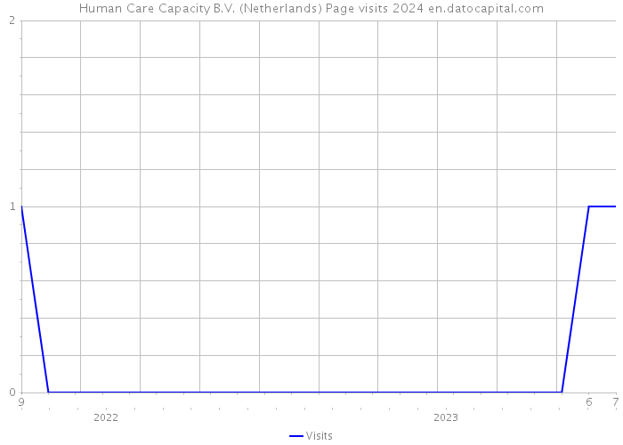 Human Care Capacity B.V. (Netherlands) Page visits 2024 