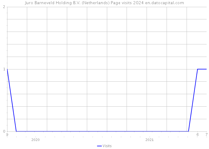Juro Barneveld Holding B.V. (Netherlands) Page visits 2024 