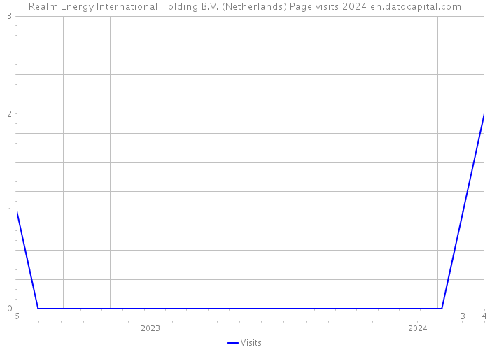 Realm Energy International Holding B.V. (Netherlands) Page visits 2024 