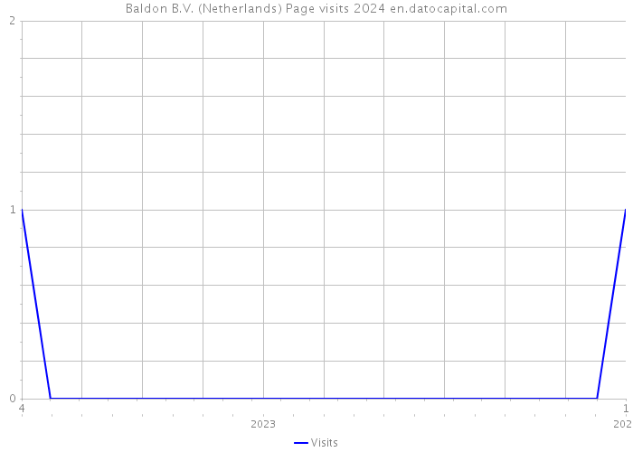 Baldon B.V. (Netherlands) Page visits 2024 