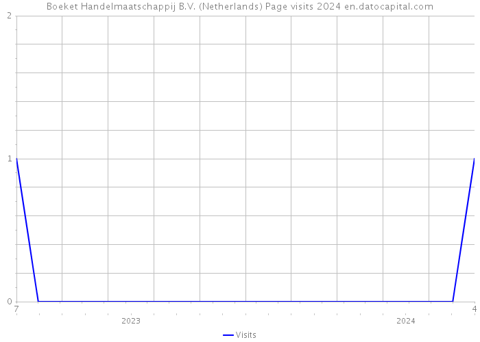 Boeket Handelmaatschappij B.V. (Netherlands) Page visits 2024 