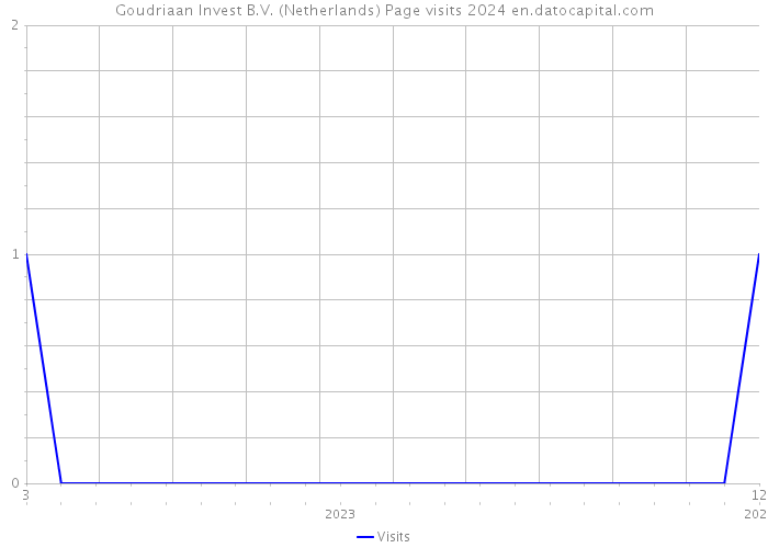 Goudriaan Invest B.V. (Netherlands) Page visits 2024 