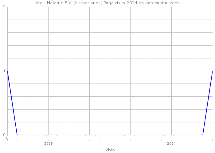 MeLi Holding B.V. (Netherlands) Page visits 2024 