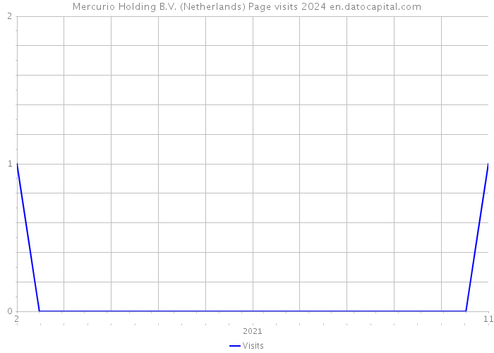 Mercurio Holding B.V. (Netherlands) Page visits 2024 