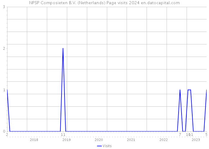 NPSP Composieten B.V. (Netherlands) Page visits 2024 