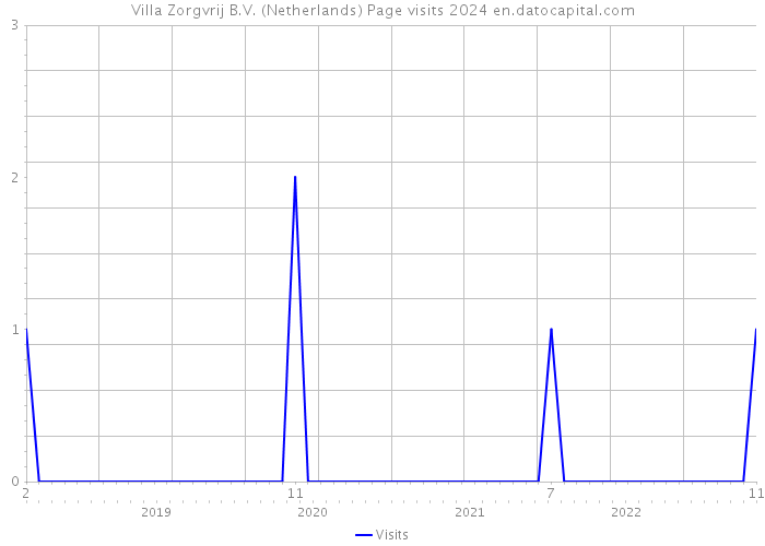 Villa Zorgvrij B.V. (Netherlands) Page visits 2024 