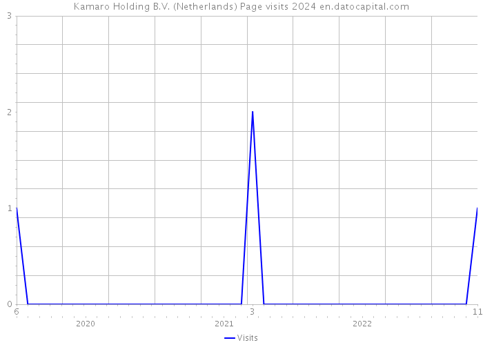 Kamaro Holding B.V. (Netherlands) Page visits 2024 