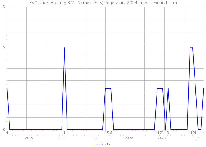 EVOlution Holding B.V. (Netherlands) Page visits 2024 