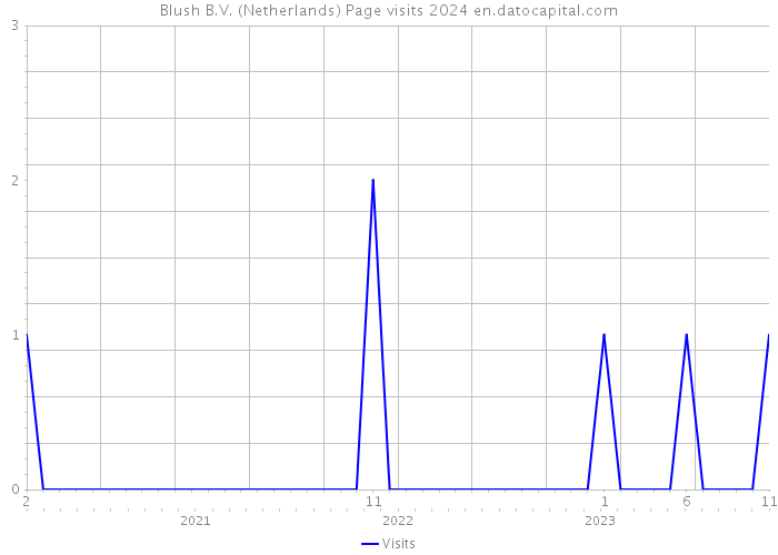 Blush B.V. (Netherlands) Page visits 2024 