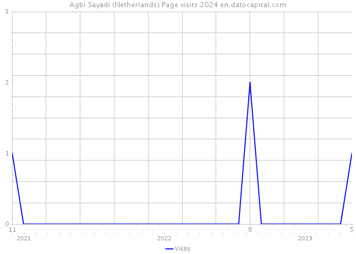 Agbi Sayadi (Netherlands) Page visits 2024 