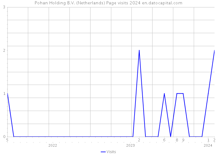 Pohan Holding B.V. (Netherlands) Page visits 2024 