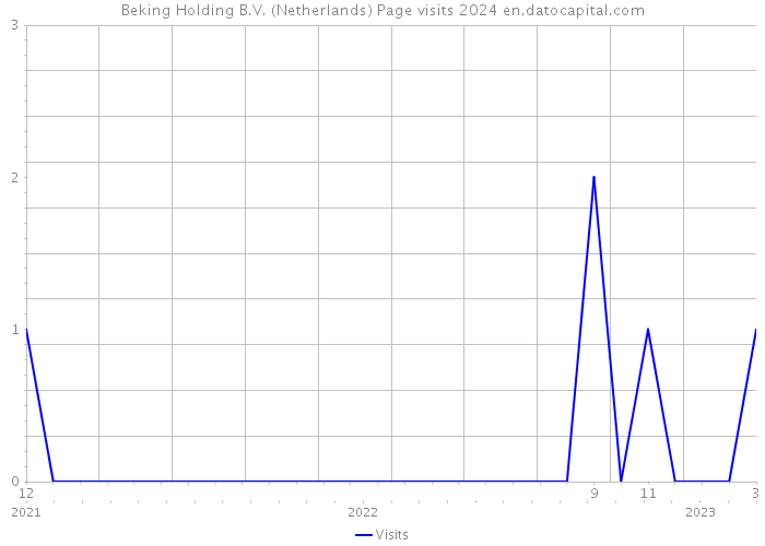 Beking Holding B.V. (Netherlands) Page visits 2024 