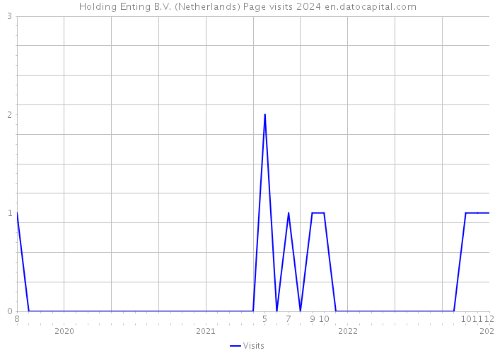 Holding Enting B.V. (Netherlands) Page visits 2024 