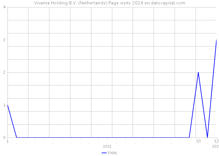 Vivanta Holding B.V. (Netherlands) Page visits 2024 