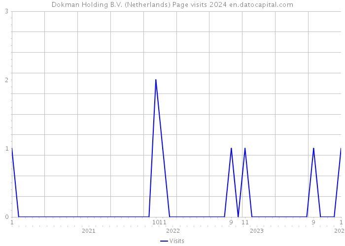 Dokman Holding B.V. (Netherlands) Page visits 2024 