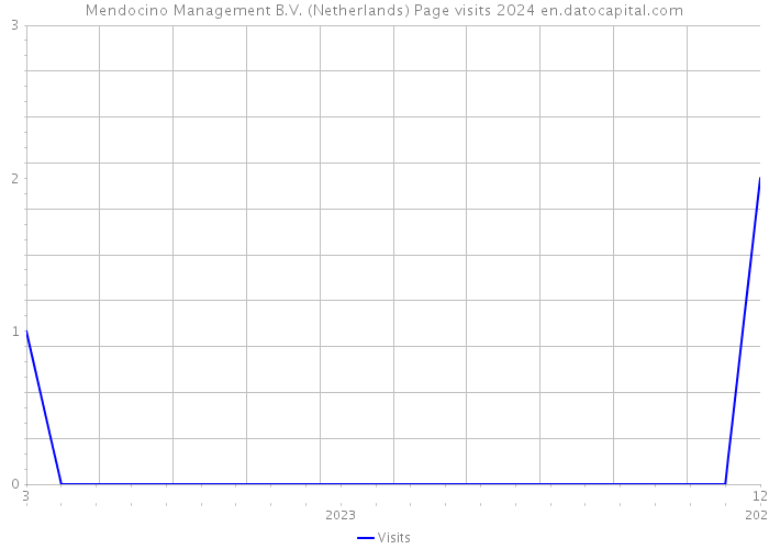 Mendocino Management B.V. (Netherlands) Page visits 2024 