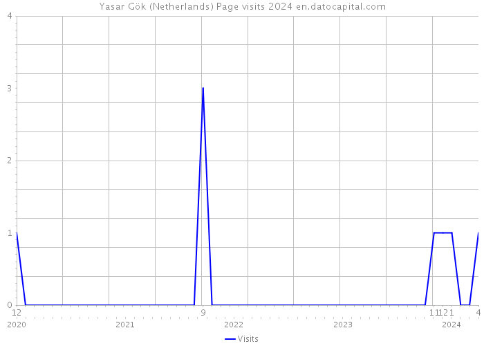 Yasar Gök (Netherlands) Page visits 2024 