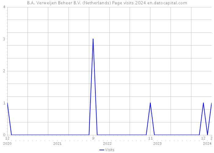 B.A. Verweijen Beheer B.V. (Netherlands) Page visits 2024 