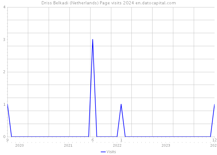 Driss Belkadi (Netherlands) Page visits 2024 