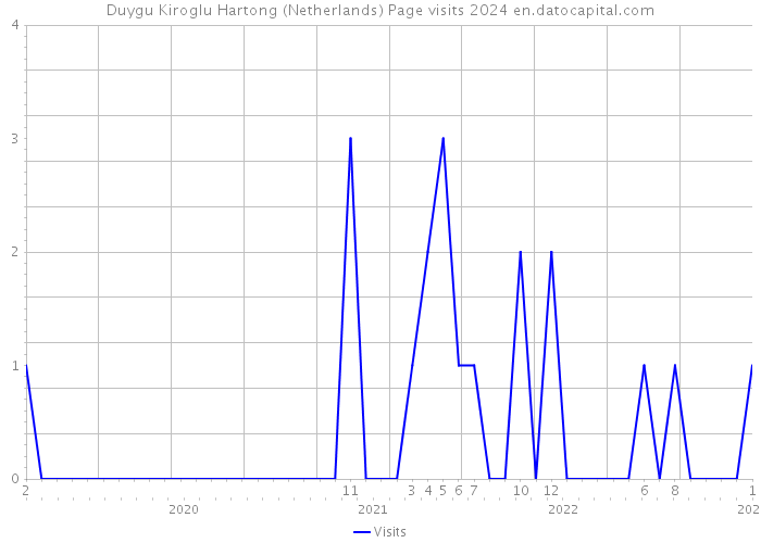 Duygu Kiroglu Hartong (Netherlands) Page visits 2024 