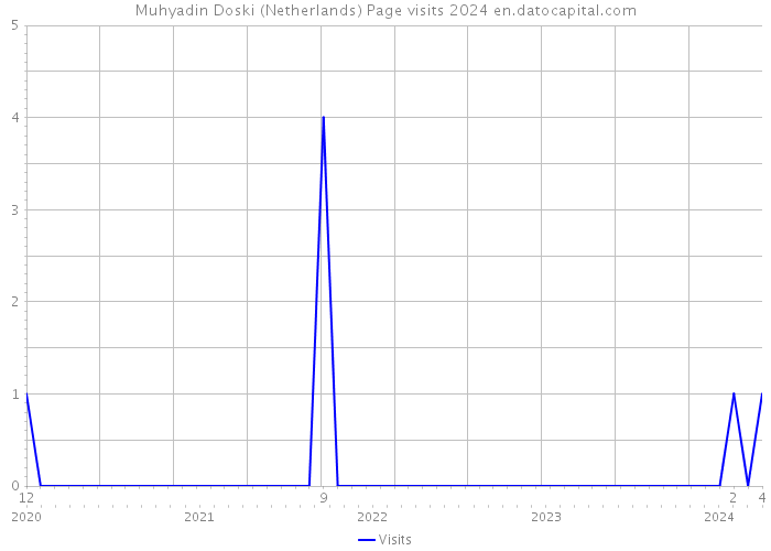 Muhyadin Doski (Netherlands) Page visits 2024 