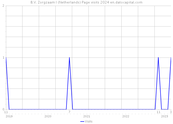 B.V. Zorgzaam I (Netherlands) Page visits 2024 