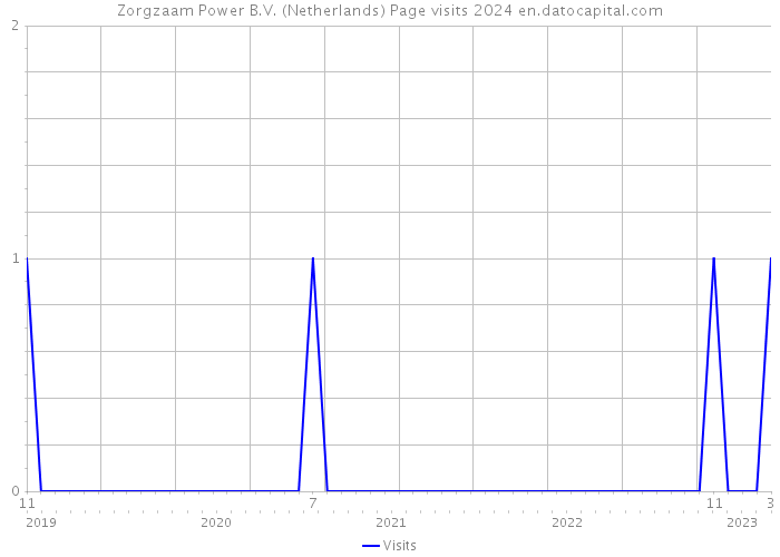 Zorgzaam Power B.V. (Netherlands) Page visits 2024 