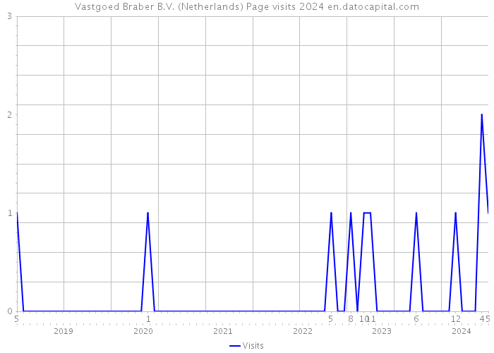 Vastgoed Braber B.V. (Netherlands) Page visits 2024 