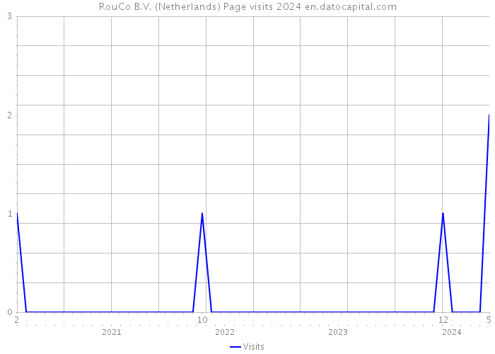 RouCo B.V. (Netherlands) Page visits 2024 