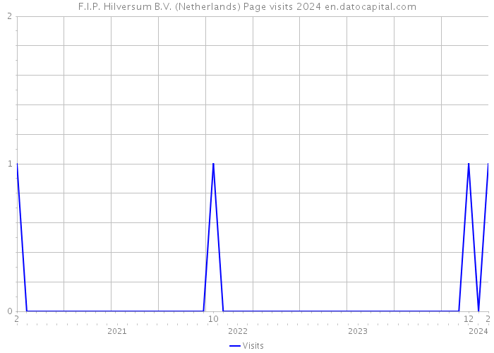 F.I.P. Hilversum B.V. (Netherlands) Page visits 2024 