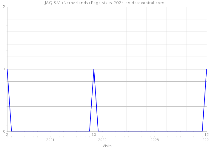 JAQ B.V. (Netherlands) Page visits 2024 