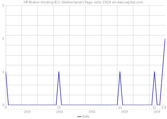 HP Braber Holding B.V. (Netherlands) Page visits 2024 