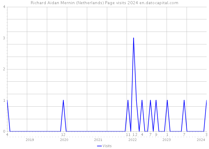 Richard Aidan Mernin (Netherlands) Page visits 2024 