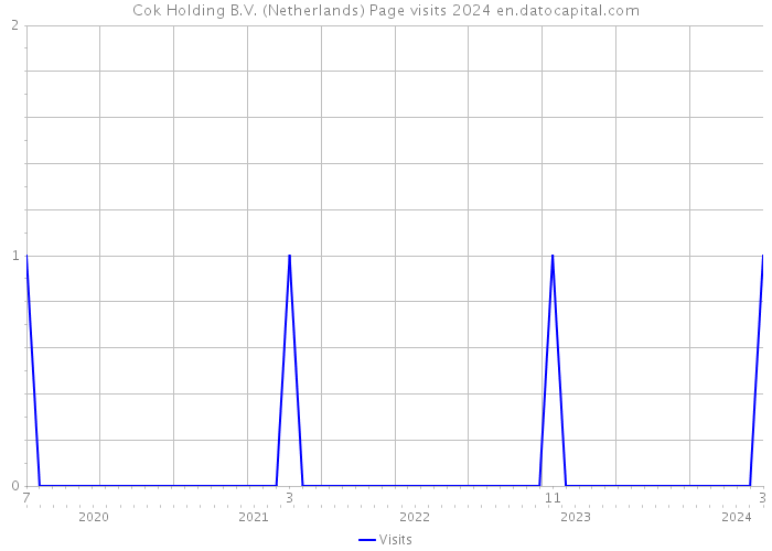 Cok Holding B.V. (Netherlands) Page visits 2024 