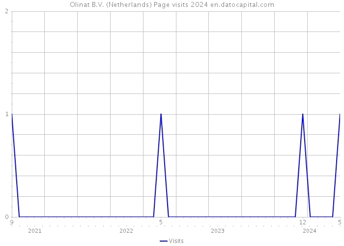Olinat B.V. (Netherlands) Page visits 2024 