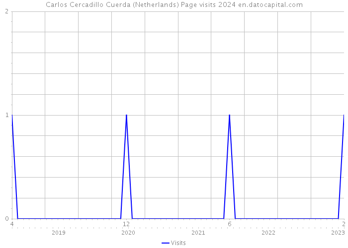 Carlos Cercadillo Cuerda (Netherlands) Page visits 2024 